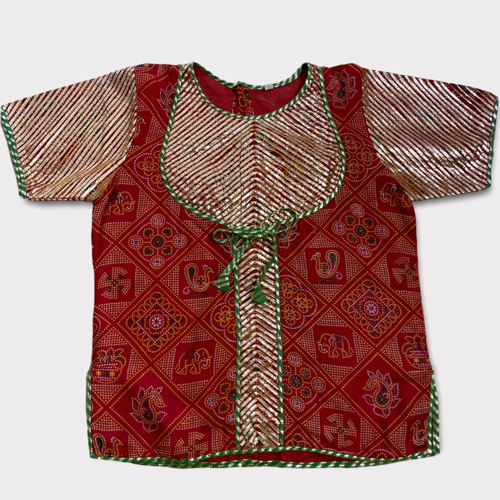 Embroidered Sari Blouse